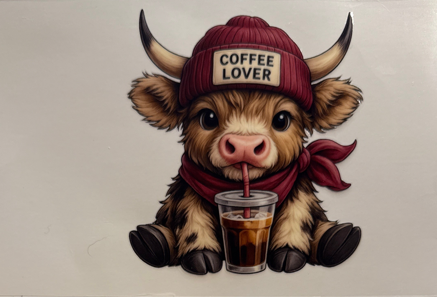 Coffee lover cow
