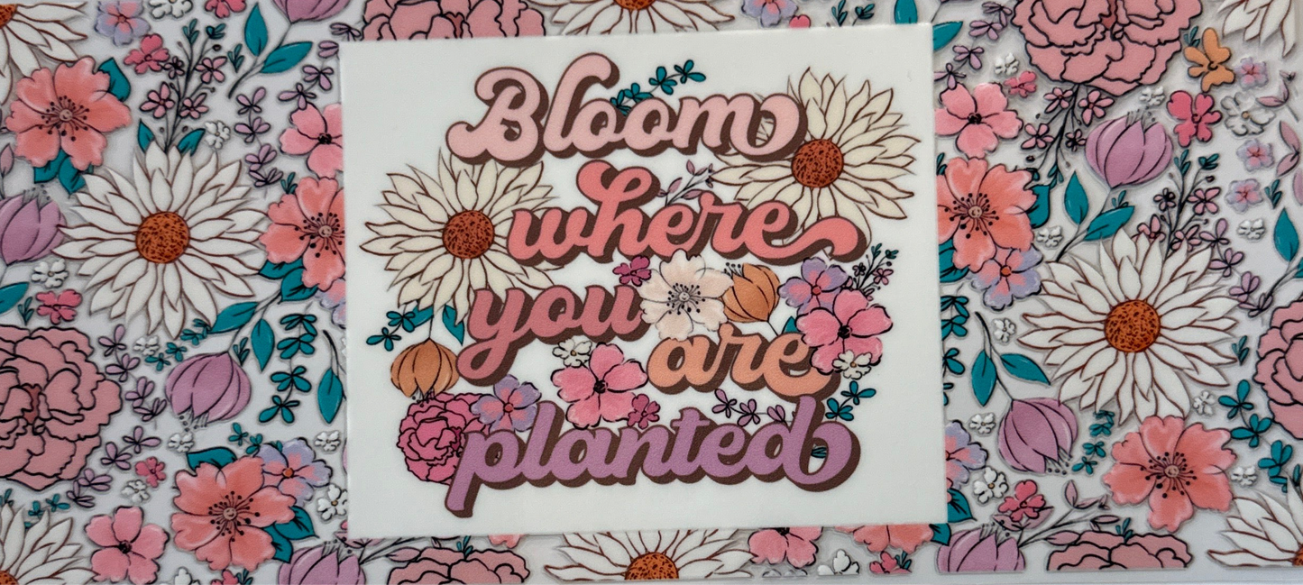 Bloom where you are planted